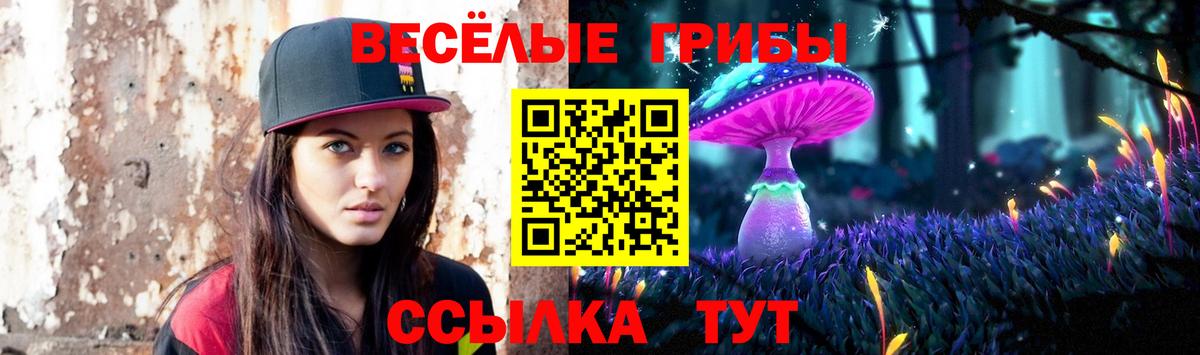 наркошоп  Вход с VPN  Галлюциногенные грибы Magic Shrooms  Котельники  Псилоцибиновые грибы Cubensis 